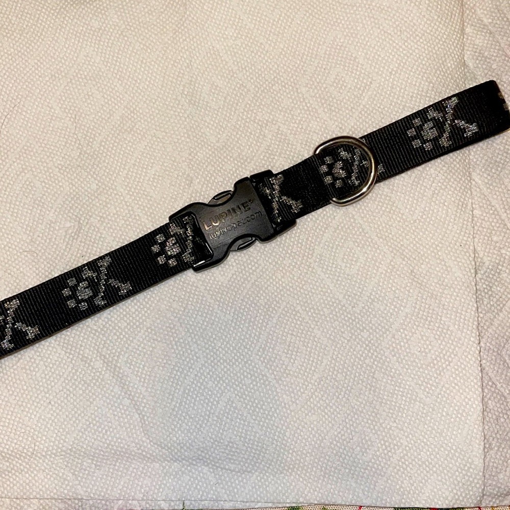 Paw and Bones X-Large Collar Quality Clasp and D ring